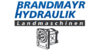 Logo von Brandmayr Hydraulik