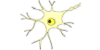 Logo von Schmid Barbara Dr.med. Ärztin für Neurologie u. Nervenheilkunde