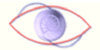 Logo von Wild-Hackl Jutta Dr.med. Augenärztin