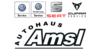 Logo von Thomas Amsl Autohaus