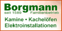 Logo von Borgmann - Kamine, Kachelöfen, Elektro