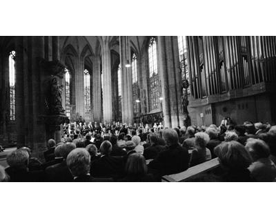 Kundenbild groß 1 Internationale Orgelwoche Nürnberg